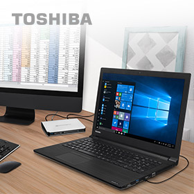 Toshiba vakantieknallers